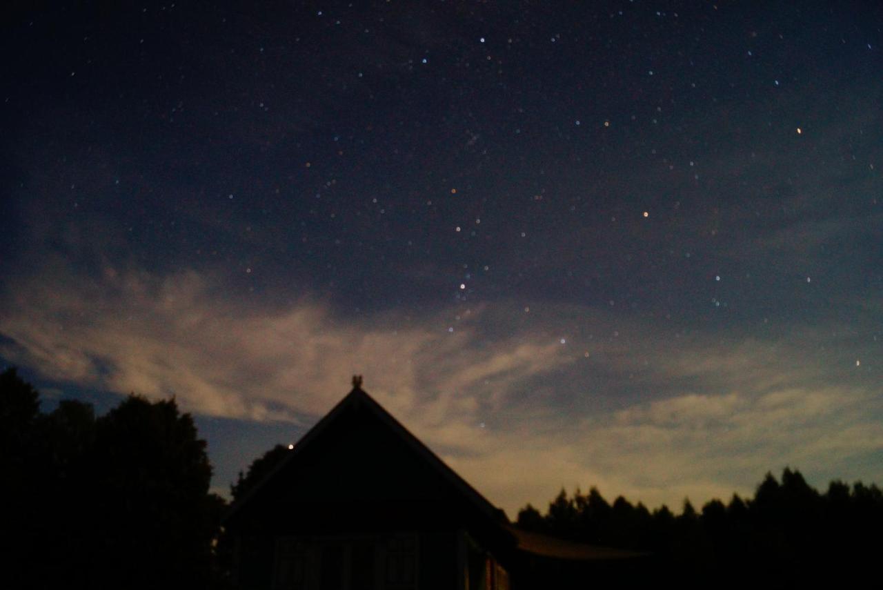 W Zielonym Spichlerzu, Puszcza Bialowieska