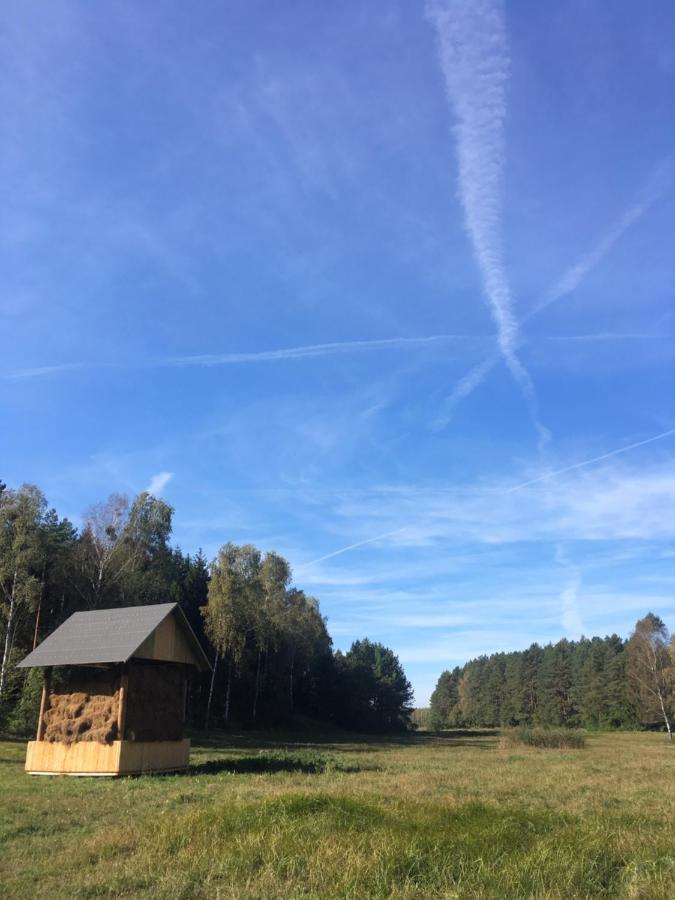 Lodger W Zielonym Spichlerzu, Puszcza Bialowieska