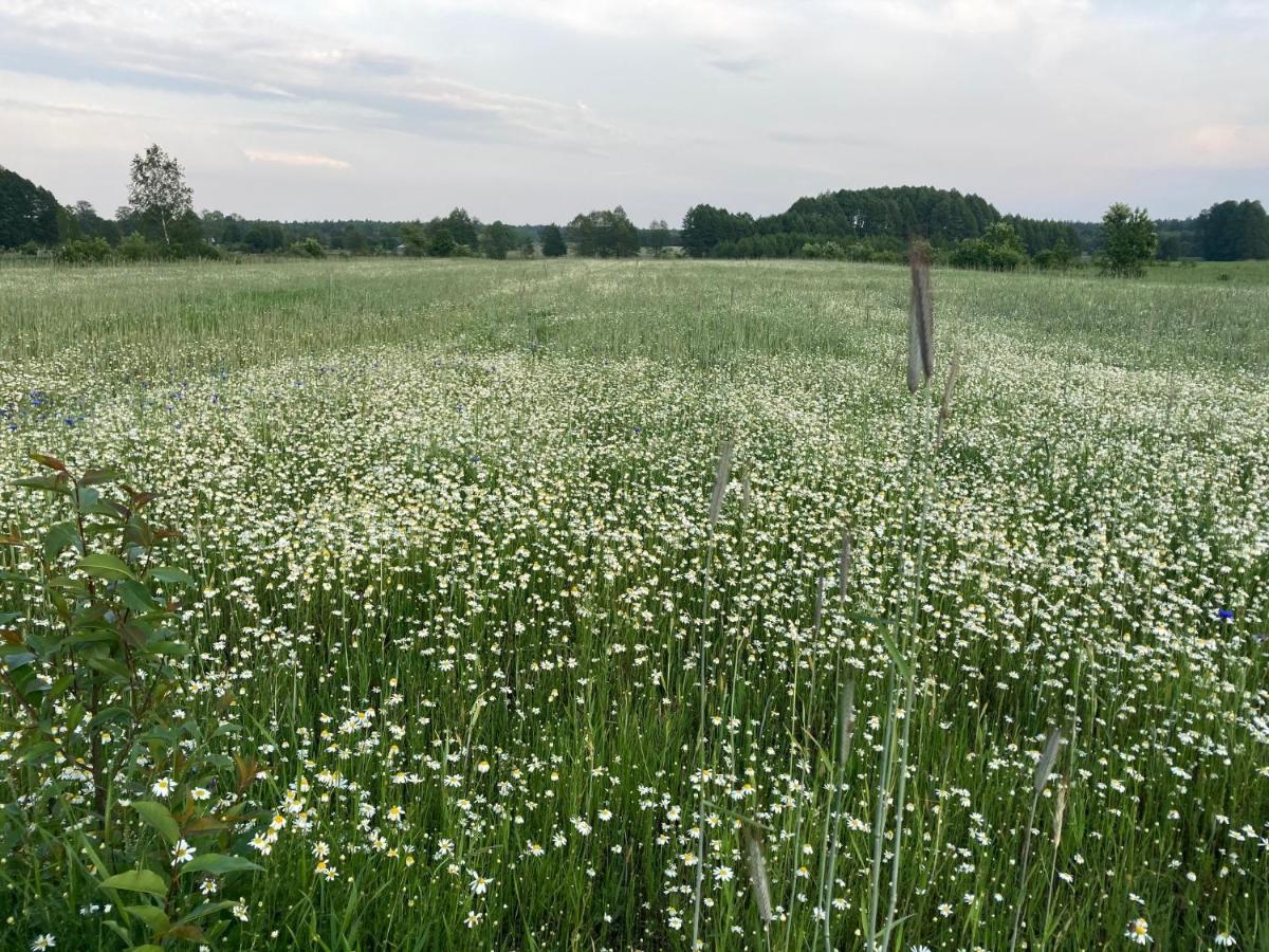 Lodger W Zielonym Spichlerzu, Puszcza Bialowieska *