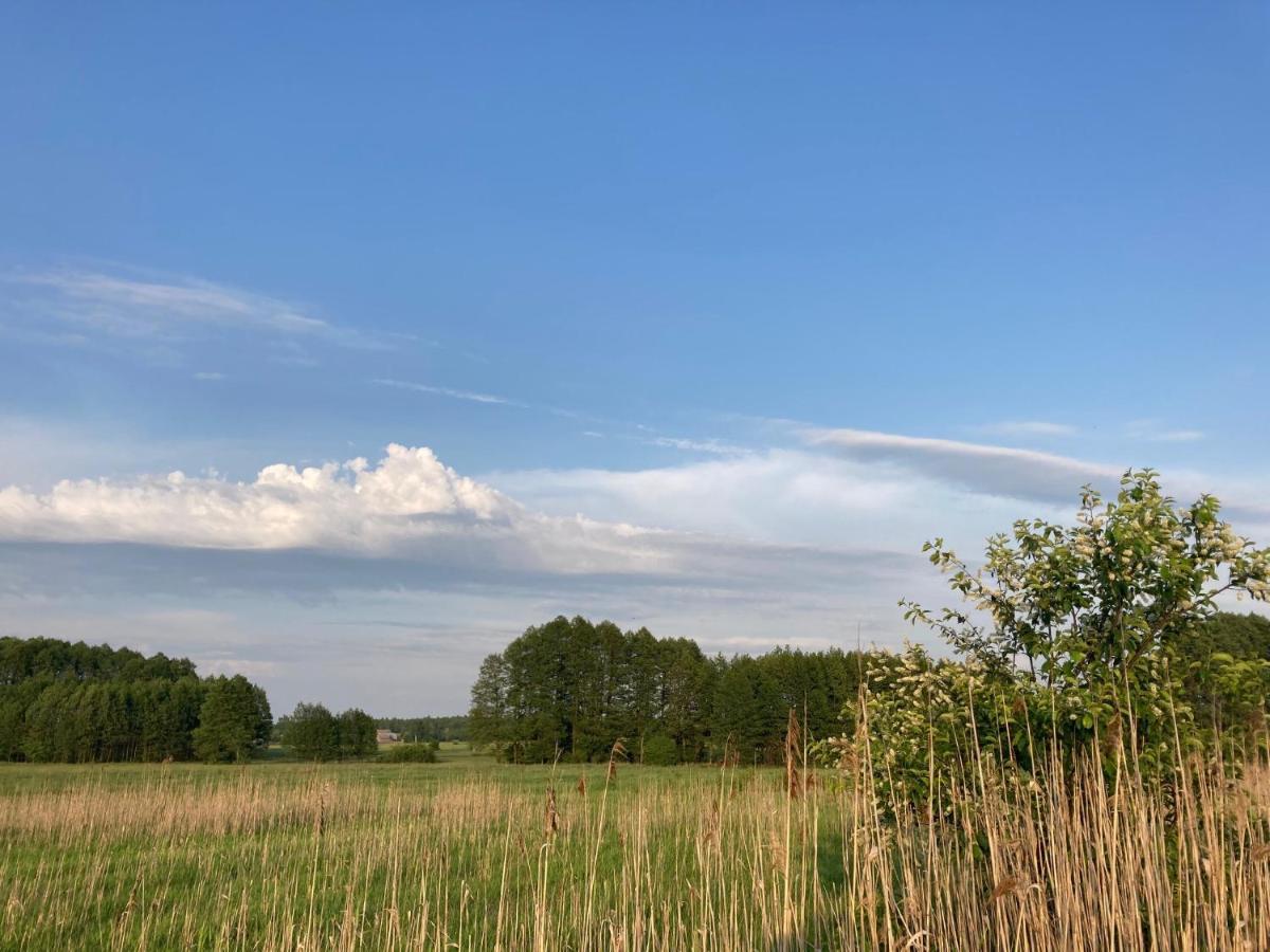 W Zielonym Spichlerzu, Puszcza Bialowieska