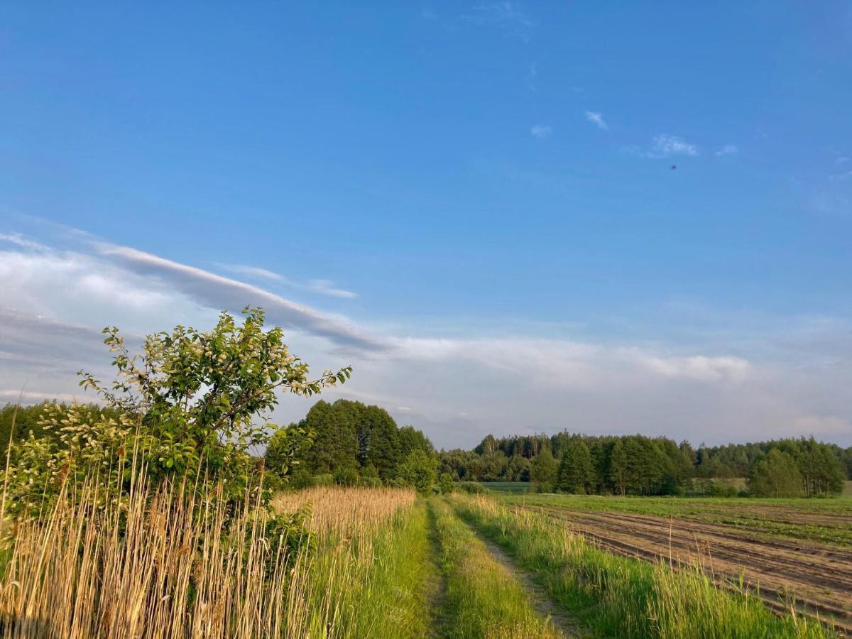 Lodge W Zielonym Spichlerzu, Puszcza Bialowieska Czechy Orlanskie